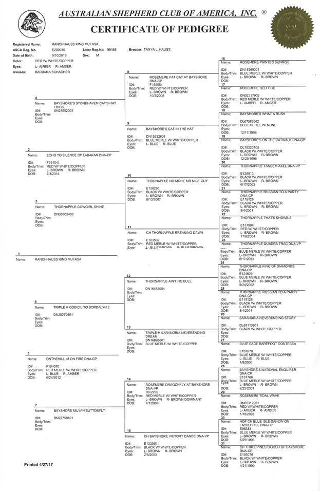 Documentation – King Mufasa – Barb's Western Art